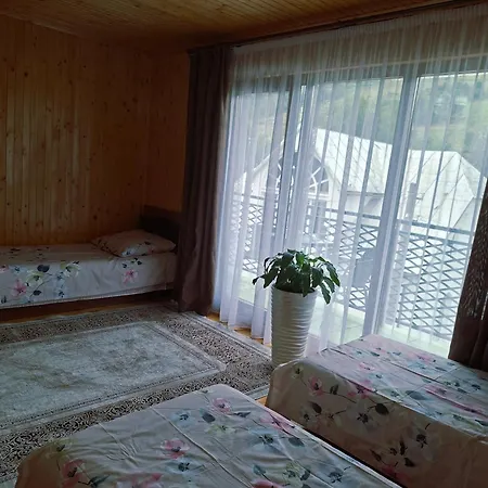 Oleksandria *